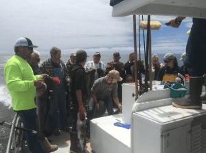 Group of fishermen weighing catch on boat