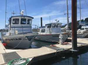 Fishing boats docked at a peaceful marina