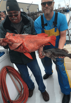 Two fishermen holding large catch on boat