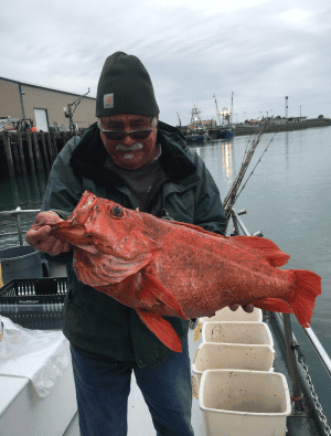 Fisherman holding large red fish at the harbor